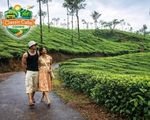 Day 3 Coorg sightseeing cab - Nagarhole safari and Irpu Falls